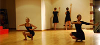 nterdisciplinarity in performances: results of collaboration between dancers, musicians, computer software designers, video artists
